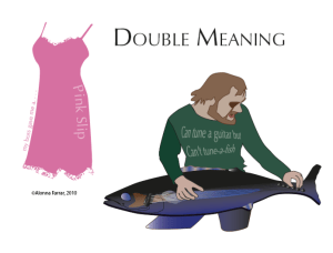Double Meaning Assignment